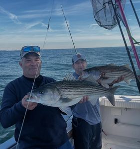 Striped Bass Fishing Charters in NYC