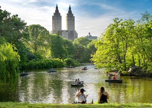 Top Things to Do in New York City
