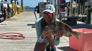 Beyond the Bait: Master the Winter Bite with Knotty Sea Fishing Charters