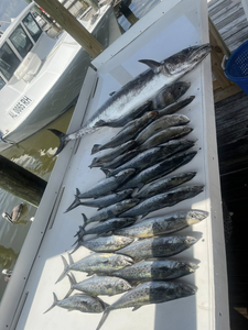 Gulf Shore Fishing Report