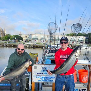 Big salmon after big storms