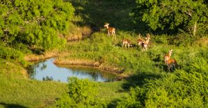 Top Things to Do in Hobson, TX