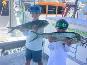 Chasing Mahi Along Islamorada's Bluewater Edge