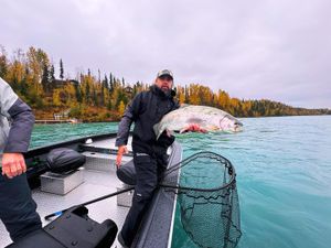 Kenai River Trophy Rainbow Trout Experience