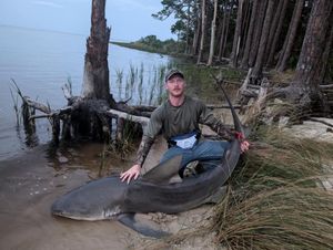 Bull Shark Action with the Whitten Crew