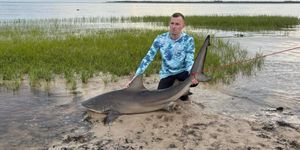 The Ultimate Guide to Land Based Shark Fishing in Carrabelle FL