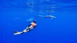 Dive into Adventure: Destin's Underwater Wonders Await!