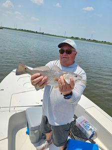 Silver trout gleam captured in Savannah. GA
