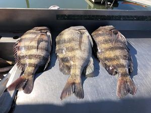 Best Fishing Spots in Georgia