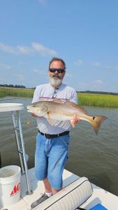 Redfish Delights, Savannah GA