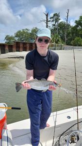 Savannah FA, trout wonders