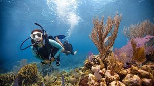 h1Fall Northern Pike Action with ScubaTech Destin - Top Results!