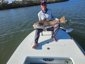 Hook a Giant Black Drum on Fly