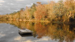 Outdoor Adventures and Must-See Spots in Fort Myers