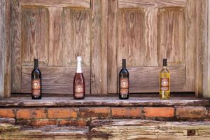 The Ultimate Zavalla Travel Guide: Forest Trails to Local Eats