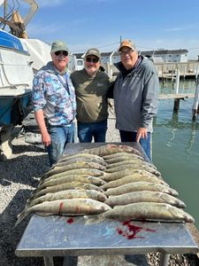 Prime Detroit River Walleye Jigging with Open Seats This Saturday