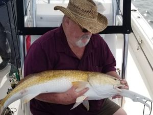 Hot summer action inshore and offshore!