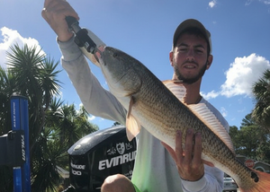 Experience the Best of Hudson Waters with Captain Eric