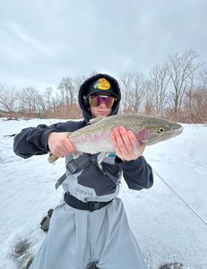 Steelhead fishing WNY tributaries 