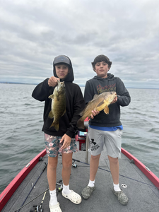 Buffalo Smallmouth Bass & Drum Action - 4 Hour Lake Erie Charter