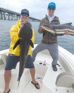 Virginia Beach Fishing Report