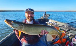 Another Personal Best Musky and a Hard Fought Battle