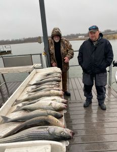 Wet Christmas Eve Day Dead Sticking Outing 