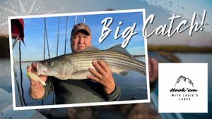 Relax, Cast, Repeat – Your Next Lake Texoma Striper Trip Starts Here