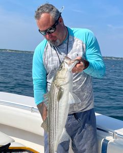 Sizable schools of super-sized striped bass 