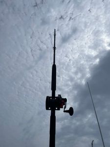  Signature chomp of a halibut
