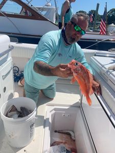 Rockfish in Massachusetts