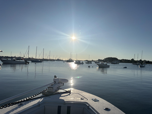 Scituate Fishing: Multi-Technique Half-Day with Legit Fish