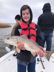 reeled in a Redfish in New Orleans