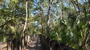 Top Things to Do in New Port Richey