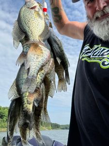 Pomme de Terre Crappie Fishing Is on Fire