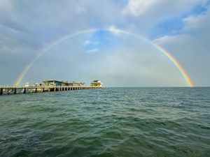 Top Things to Do in St. Petersburg, FL