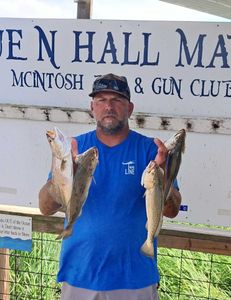 Inshore fishing in Darien Ga 