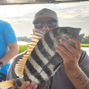 Another sheepshead adventure 
