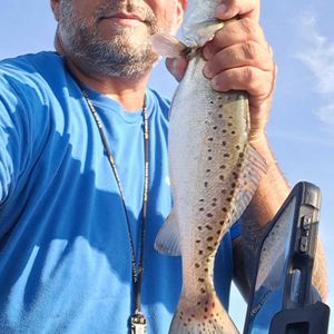 Trout bite was Fire today