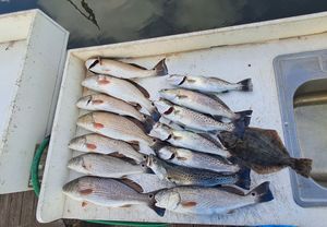 Successful day targeting the Georgia coast trifecta