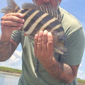 Sheepshead adventure 