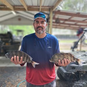 Inshore fishing in Darien Ga. 