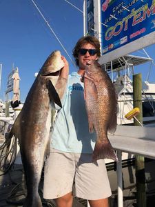 Mutton and cobia combo in Biloxi waters.
