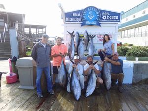 Tuna galore in Biloxi waters.