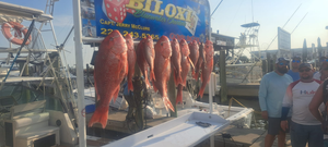 Biloxi Fishing Report