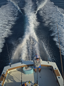 Biloxi Offshore Action: Non-Stop Amberjack Bites with Captain Jerry