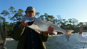 Best Time to Fish Apalachicola Bay for Redfish and Trout