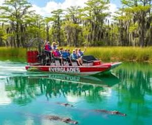 Top Things to Do in the Everglades