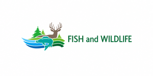Ontario Fishing License