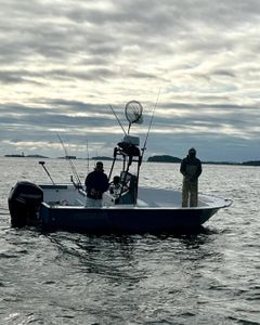 Looking ahead to another strong Boston fishing season